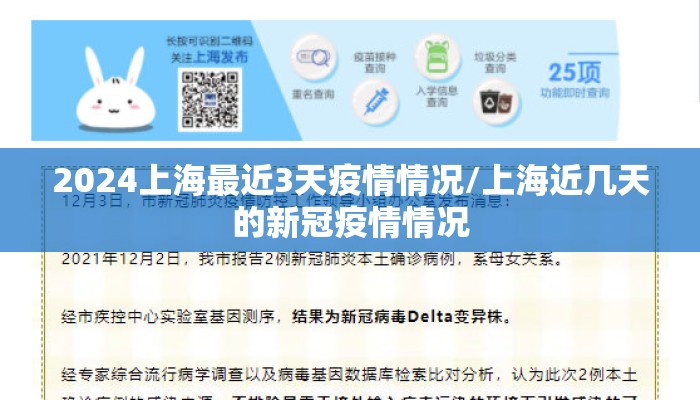 2024上海最近3天疫情情况/上海近几天的新冠疫情情况