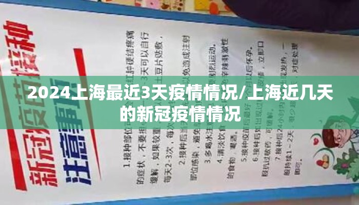 2024上海最近3天疫情情况/上海近几天的新冠疫情情况