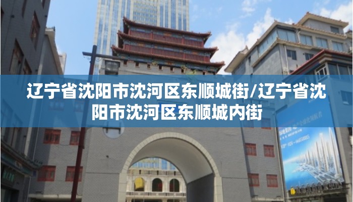 辽宁省沈阳市沈河区东顺城街/辽宁省沈阳市沈河区东顺城内街