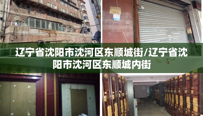 辽宁省沈阳市沈河区东顺城街/辽宁省沈阳市沈河区东顺城内街