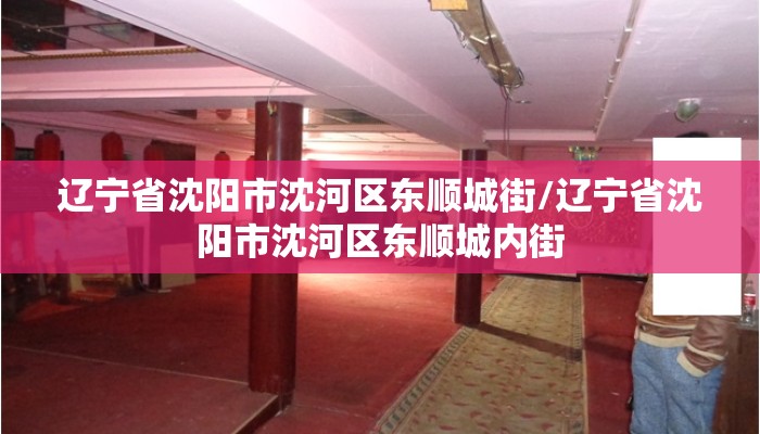 辽宁省沈阳市沈河区东顺城街/辽宁省沈阳市沈河区东顺城内街
