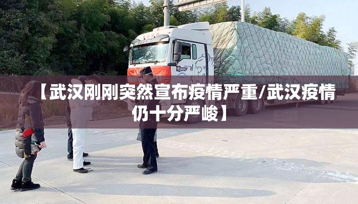 【武汉刚刚突然宣布疫情严重/武汉疫情仍十分严峻】