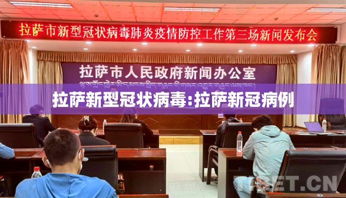 拉萨新型冠状病毒:拉萨新冠病例