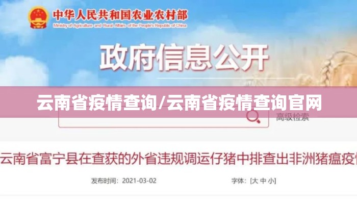 云南省疫情查询/云南省疫情查询官网