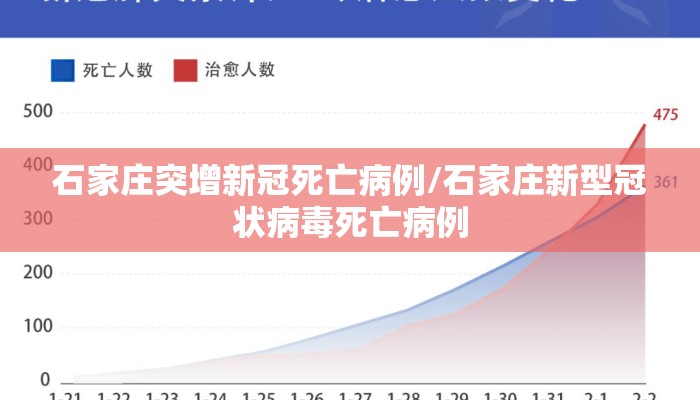 石家庄突增新冠死亡病例/石家庄新型冠状病毒死亡病例