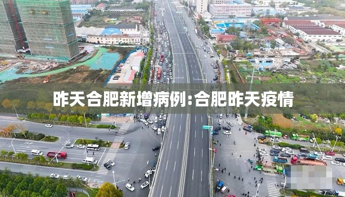 昨天合肥新增病例:合肥昨天疫情
