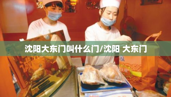沈阳大东门叫什么门/沈阳 大东门