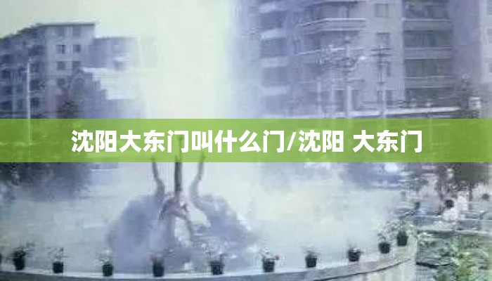 沈阳大东门叫什么门/沈阳 大东门