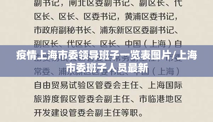 疫情上海市委领导班子一览表图片/上海市委班子人员最新