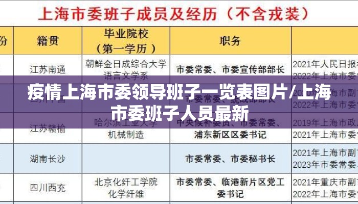 疫情上海市委领导班子一览表图片/上海市委班子人员最新