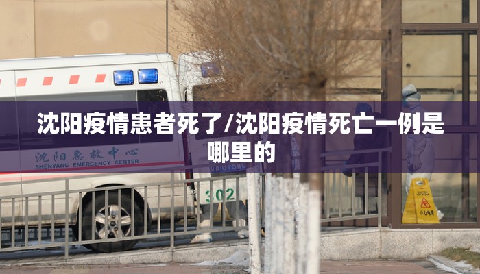 沈阳疫情患者死了/沈阳疫情死亡一例是哪里的