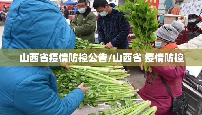 山西省疫情防控公告/山西省 疫情防控