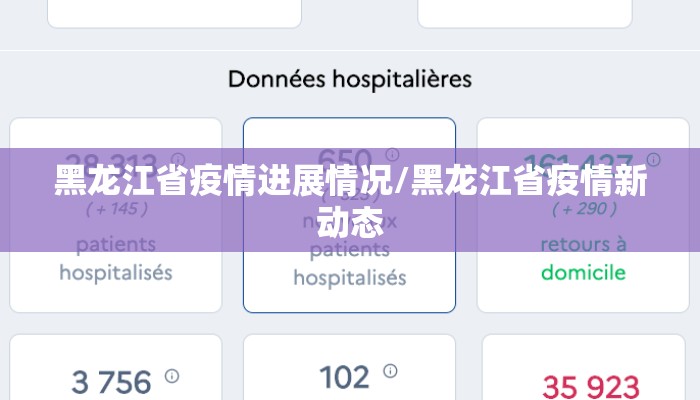 黑龙江省疫情进展情况/黑龙江省疫情新动态 黑龙江省疫情进展情况/黑龙江省疫情新动态