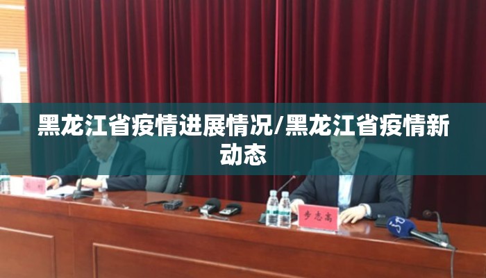 黑龙江省疫情进展情况/黑龙江省疫情新动态 黑龙江省疫情进展情况/黑龙江省疫情新动态
