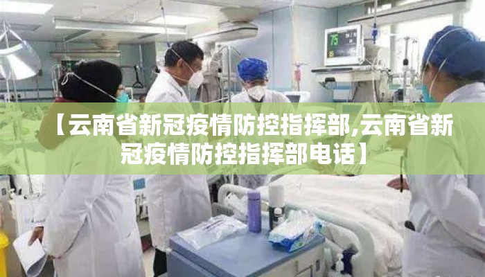 【云南省新冠疫情防控指挥部,云南省新冠疫情防控指挥部电话】