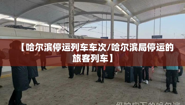 【哈尔滨停运列车车次/哈尔滨局停运的旅客列车】