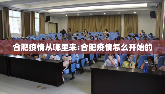 合肥疫情从哪里来:合肥疫情怎么开始的