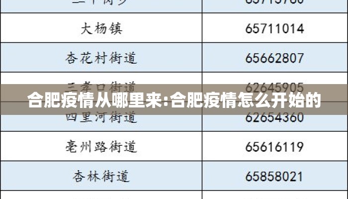 合肥疫情从哪里来:合肥疫情怎么开始的