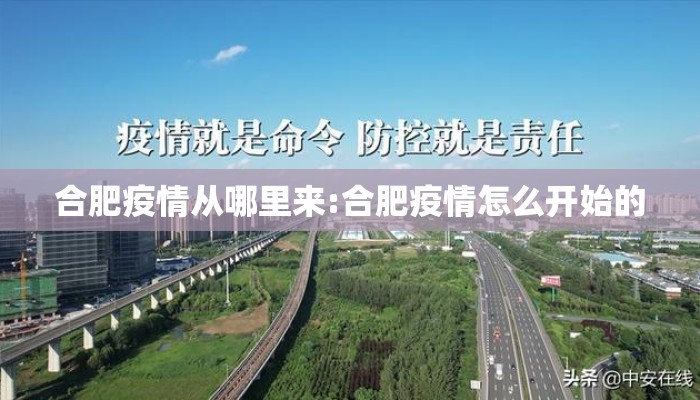 合肥疫情从哪里来:合肥疫情怎么开始的