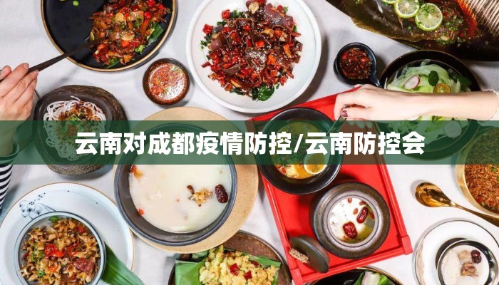 云南对成都疫情防控/云南防控会
