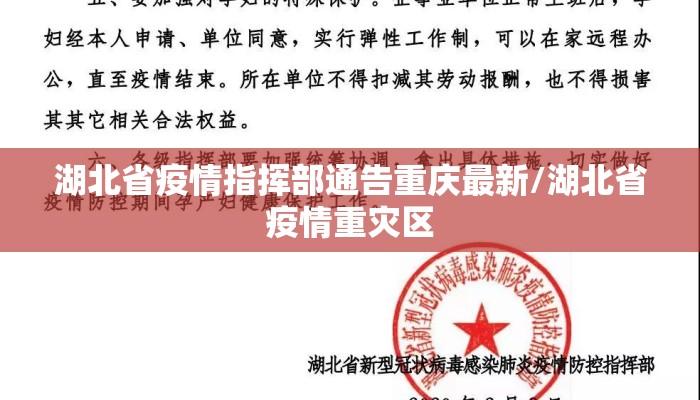 湖北省疫情指挥部通告重庆最新/湖北省疫情重灾区