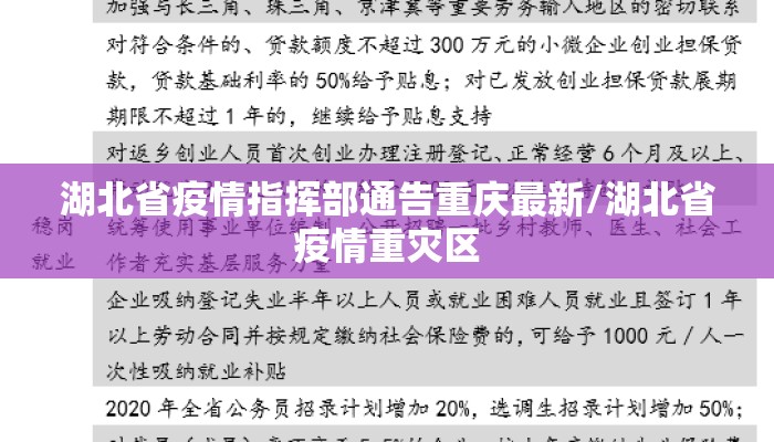 湖北省疫情指挥部通告重庆最新/湖北省疫情重灾区