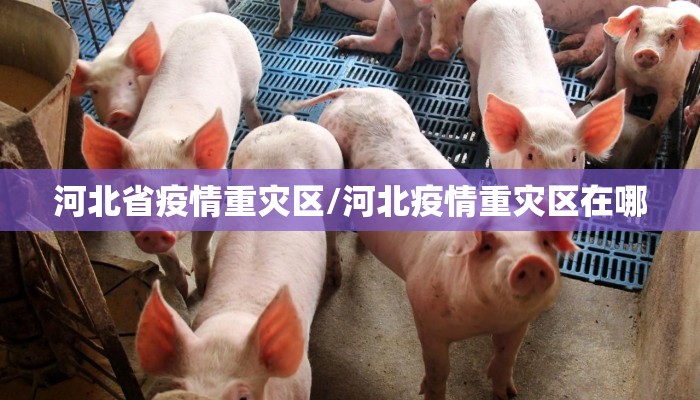 河北省疫情重灾区/河北疫情重灾区在哪