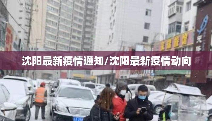 沈阳最新疫情通知/沈阳最新疫情动向