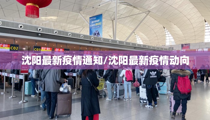 沈阳最新疫情通知/沈阳最新疫情动向
