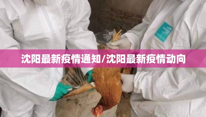 沈阳最新疫情通知/沈阳最新疫情动向