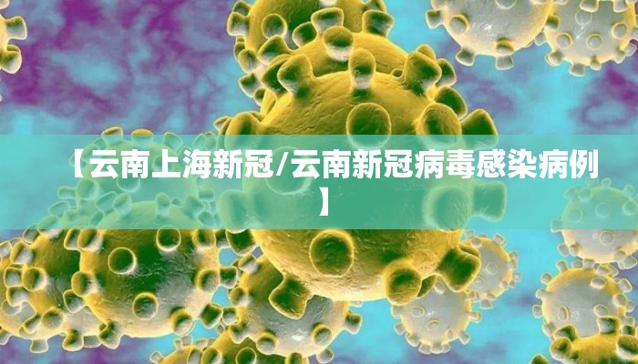 【云南上海新冠/云南新冠病毒感染病例】