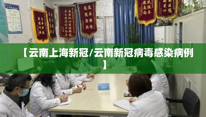 【云南上海新冠/云南新冠病毒感染病例】