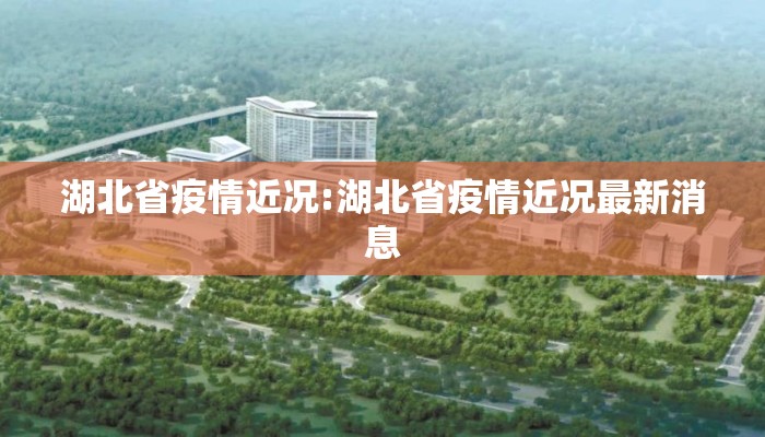 湖北省疫情近况:湖北省疫情近况最新消息