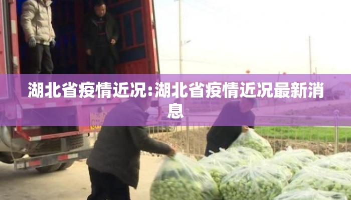 湖北省疫情近况:湖北省疫情近况最新消息