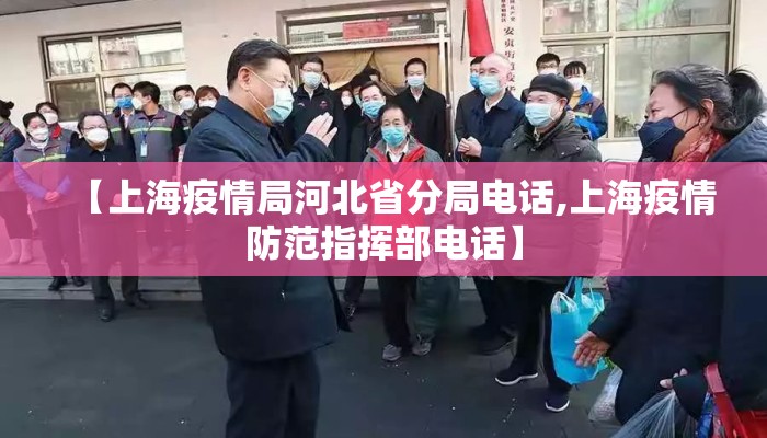 【上海疫情局河北省分局电话,上海疫情防范指挥部电话】