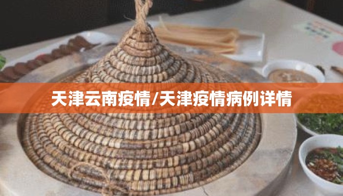 天津云南疫情/天津疫情病例详情