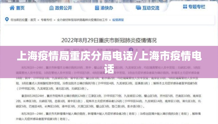 上海疫情局重庆分局电话/上海市疫情电话