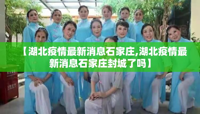 【湖北疫情最新消息石家庄,湖北疫情最新消息石家庄封城了吗】