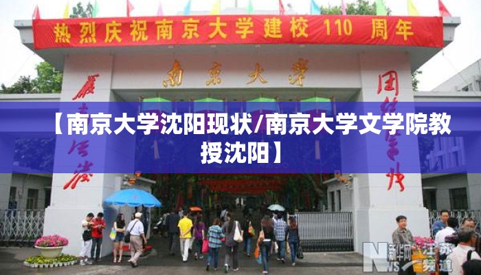 【南京大学沈阳现状/南京大学文学院教授沈阳】
