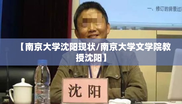 【南京大学沈阳现状/南京大学文学院教授沈阳】