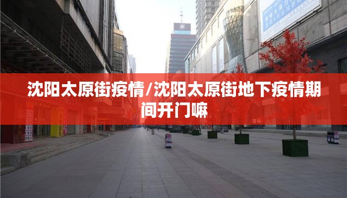 沈阳太原街疫情/沈阳太原街地下疫情期间开门嘛