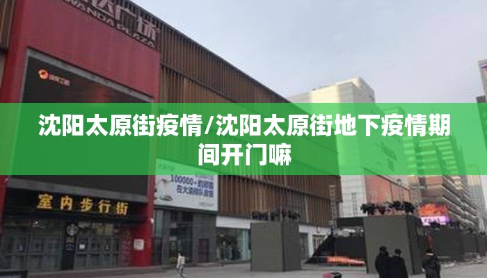 沈阳太原街疫情/沈阳太原街地下疫情期间开门嘛