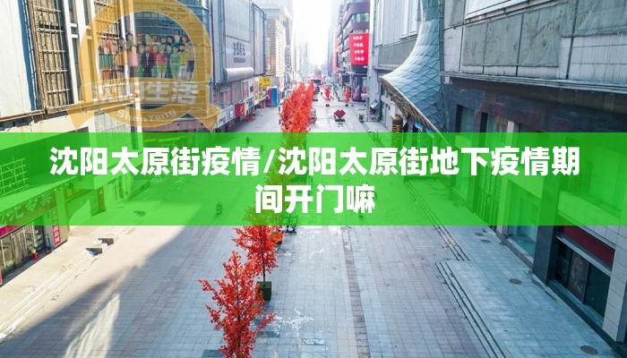 沈阳太原街疫情/沈阳太原街地下疫情期间开门嘛