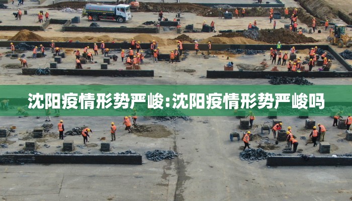 沈阳疫情形势严峻:沈阳疫情形势严峻吗