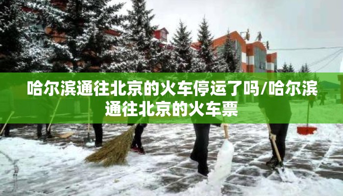 哈尔滨通往北京的火车停运了吗/哈尔滨通往北京的火车票