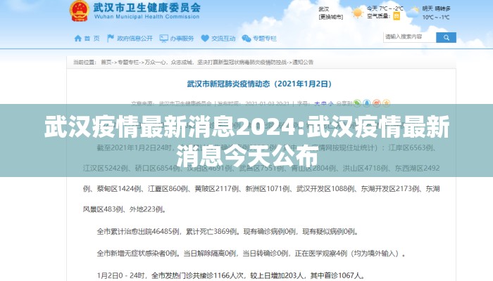 武汉疫情最新消息2024:武汉疫情最新消息今天公布
