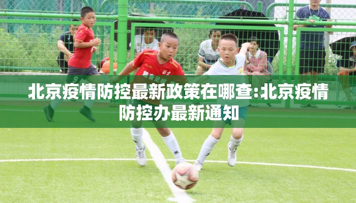 北京疫情防控最新政策在哪查:北京疫情防控办最新通知