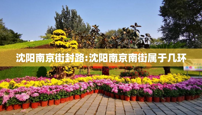 沈阳南京街封路:沈阳南京南街属于几环