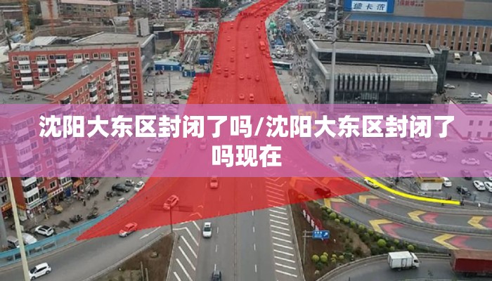 沈阳大东区封闭了吗/沈阳大东区封闭了吗现在
