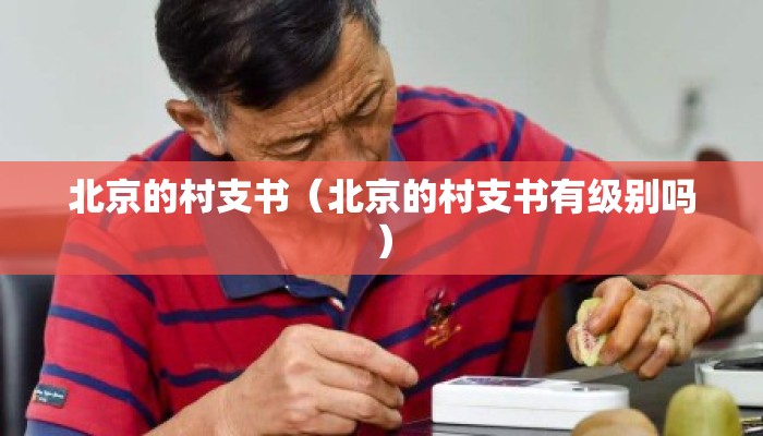 北京的村支书（北京的村支书有级别吗）
